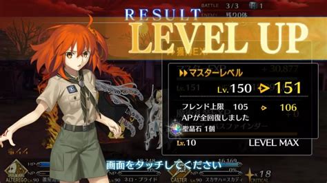 fgo master level